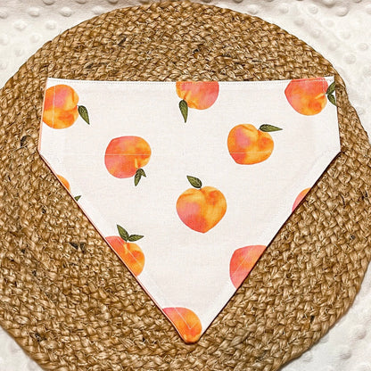 Peachy Over The Collar Bandana