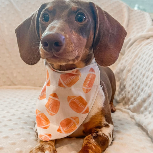 Football Over the Collar Bandana